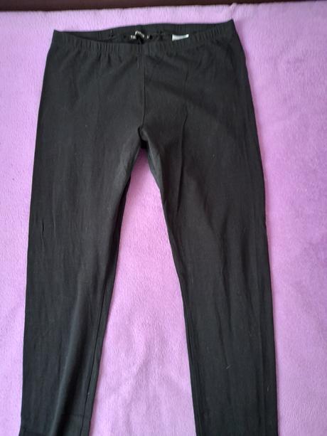 Leginy l, terranova,l