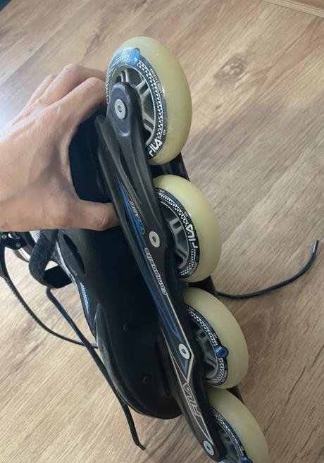 Fila korčule panske, fila,43