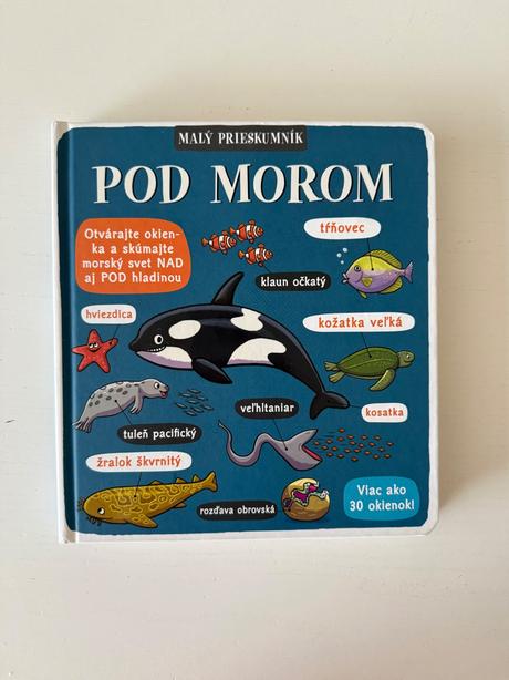 Malý prieskumník - pod morom,