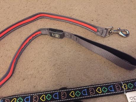 Obojok a vôdzka pre psa,