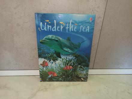 Usborne beginners - under the sea hb,