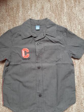 Kosela, dopodopo,104