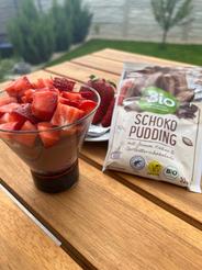 Čokoládový puding dmBio