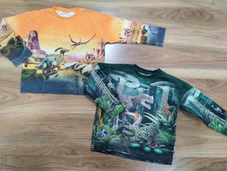 Mikiny s dinosaury molo, 116