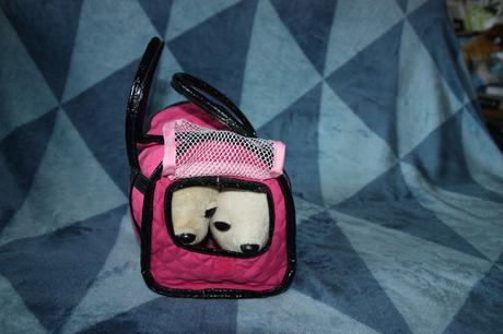 2x chichi psík a taška, 