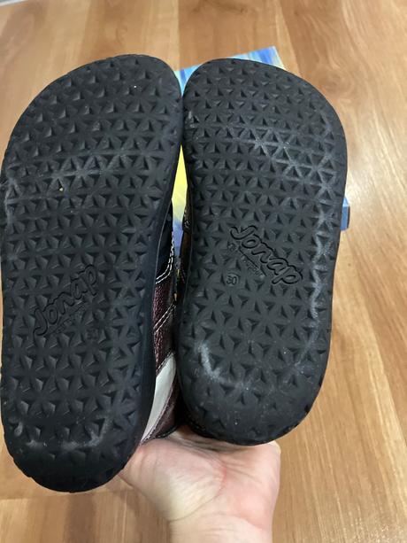 Jonap falco s ovcou vlnou, jonap,30