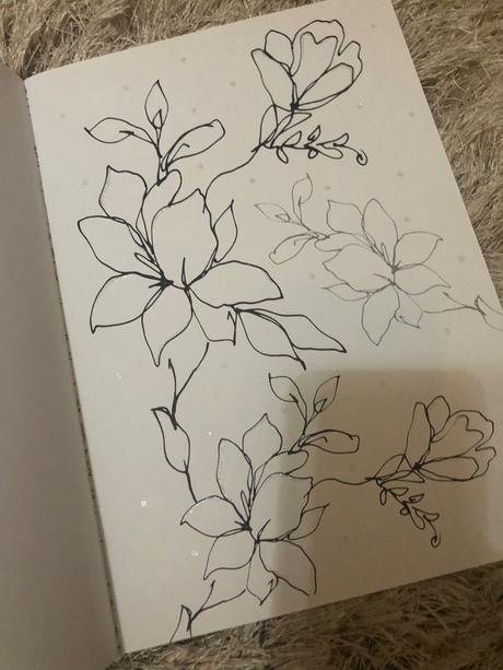 Malovanka pre dospelych, 