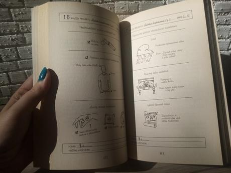 Láska stojí za všetko - nicola yoon,