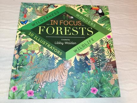 Libby walden forests in focus nau20,