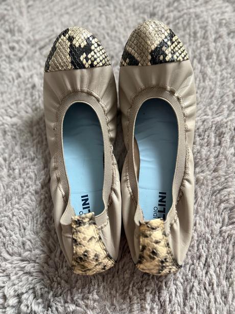 Baleriny pollini, 38