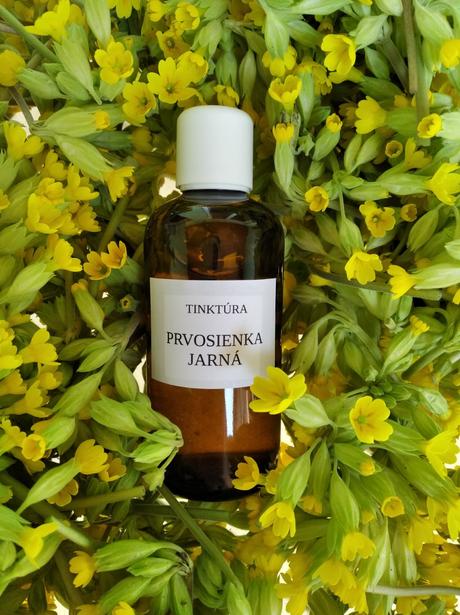 Prvosienka jarna - tinktura, 