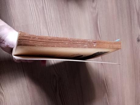 Peter stoličný - kuchárska kniha pre nemajetných, 