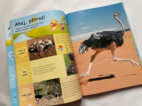 Encyklopédie, fotorámik, diár, plyšák, 