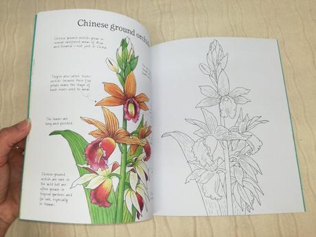 Usborne undersea life to colour njul18,