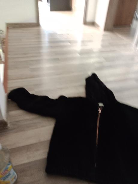 Dievčenské mikina, f&f,176