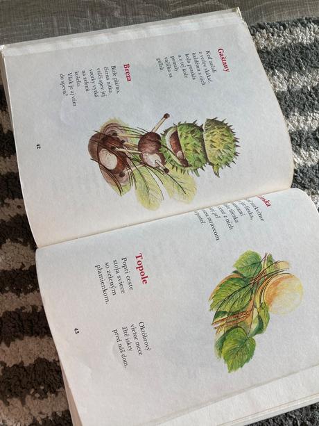 Mám básničku na jazýčku - ondrej nagaj (1991), 