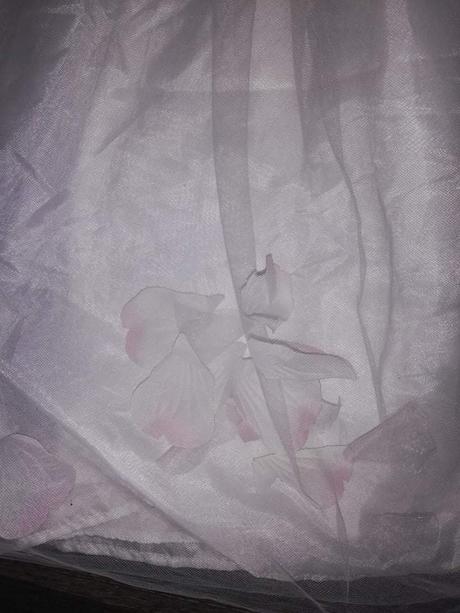 Družičkovske/na 1.sv.prijimanie tigerlily, 134