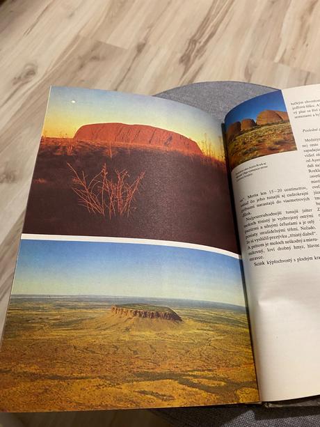 Divotvorné sily zeme ernst w. bauer,