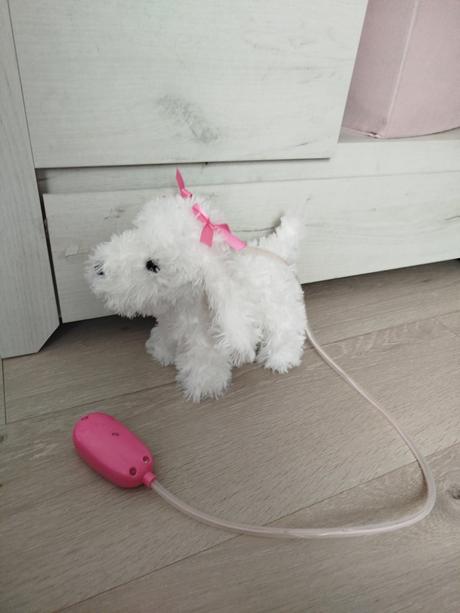 Chodiaci psík na vodítku, 