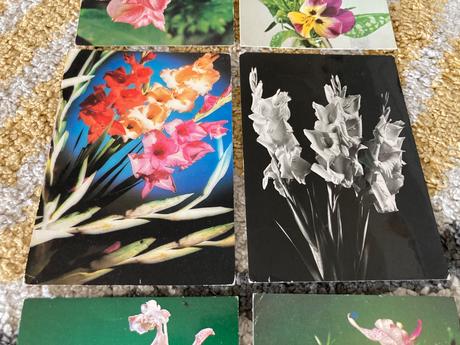 Retro kvety 80-90te roky,