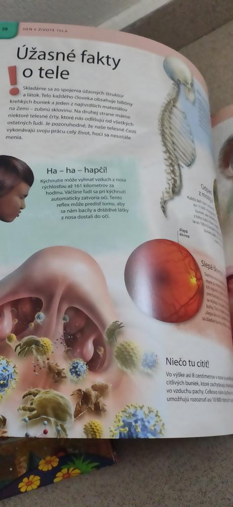 Deň v živote tela, 