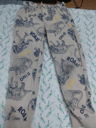 Teplaky dinosaury iii., pepco,128