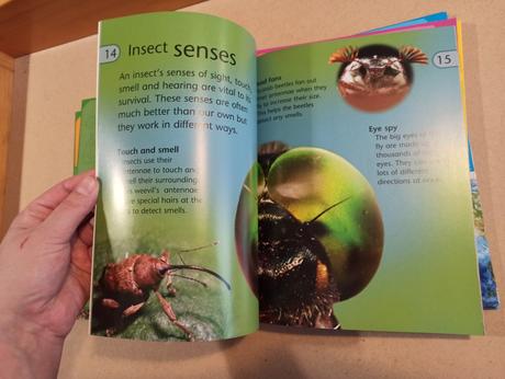 Project science x10 set, 