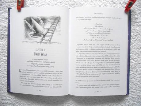 Kniha dievča ktoré spadlo pod čarokraj, 