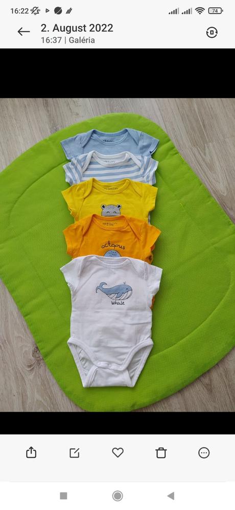 Body krátke, sinsay,56