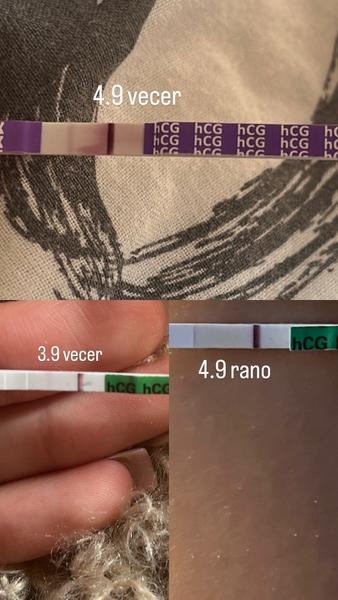 Mali ste podobný test?