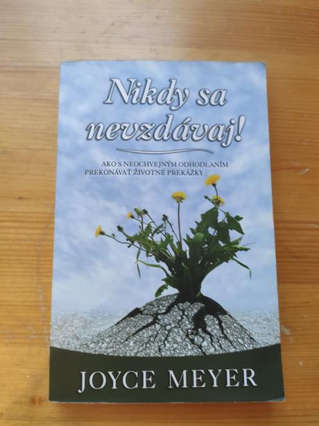 Nikdy sa nevzdávaj,esencia prace,