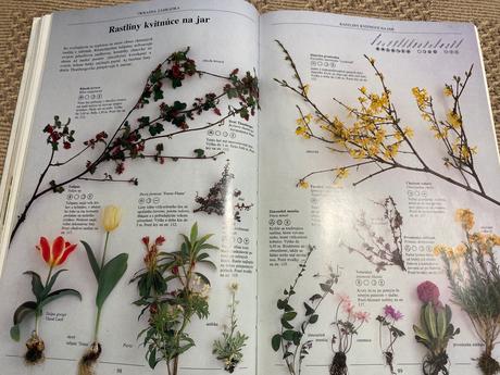 Biozáhrada pre radosť a zdravie geoff hamilton,