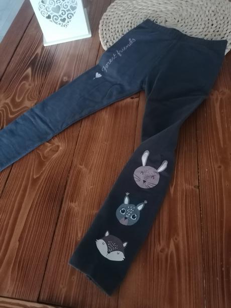 Leginy sede 116, 116