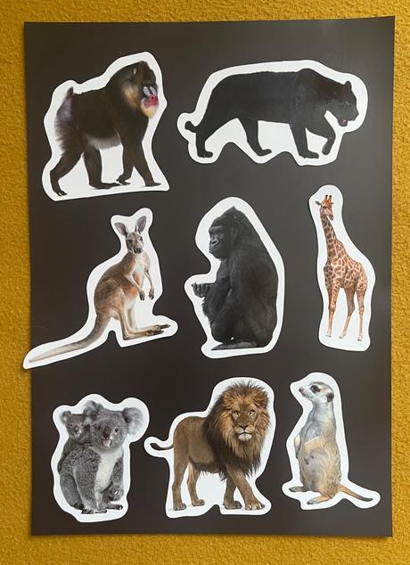 Magnetky exotické zvieratá, 