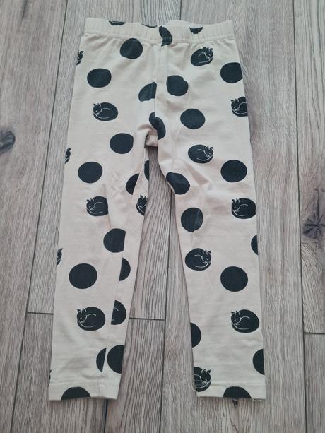 Legíny, coccodrillo,98