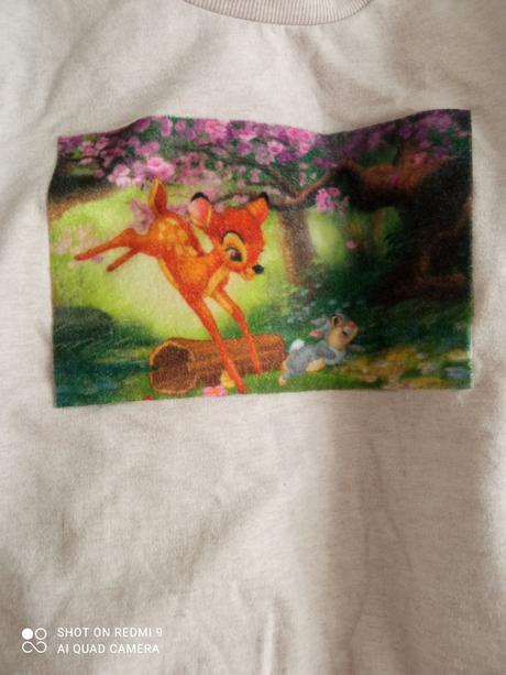 Krásna mikina, disney,122