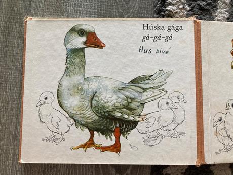 Medzi vtákmi leporelo (1987), 