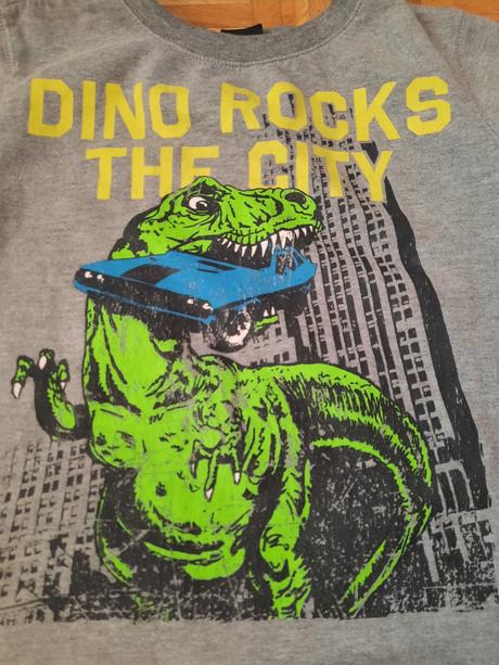 Chlapčenská mikina, chapter young,146