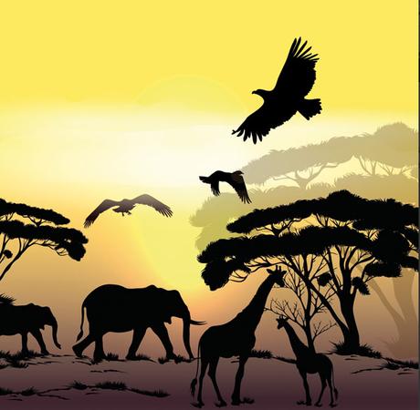 Servítka východ slnka nad afrikou 4ks (s174), 