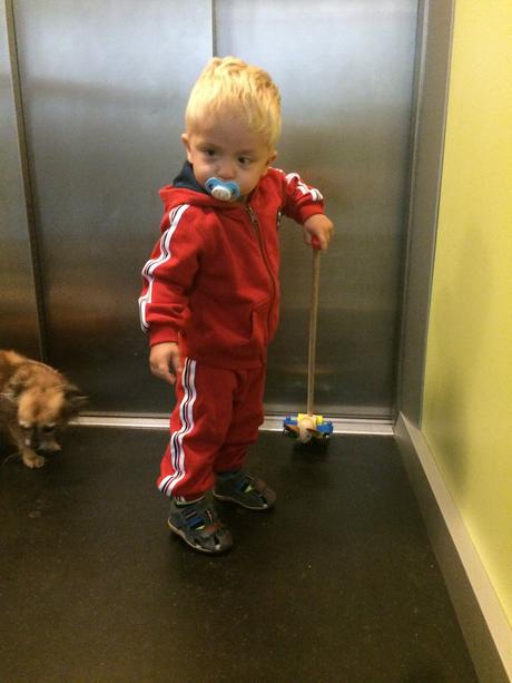 Súprava, converse,80