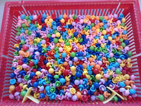 Napichovacie hríbiky, 