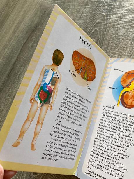 Moja prvá kniha o ľudskom tele,