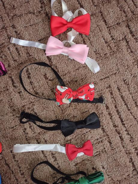 Predám motýliky po synovi,