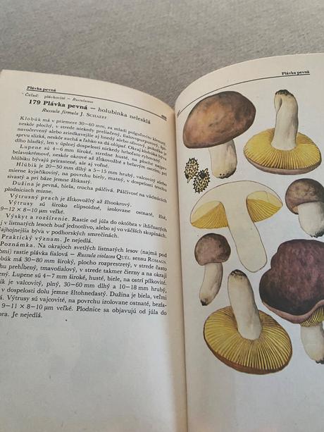 Veľký malý atlas húb aurel dermek pavol lizoň,