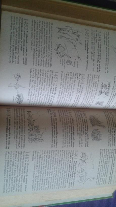 2000 rád pre záhradkárov, 