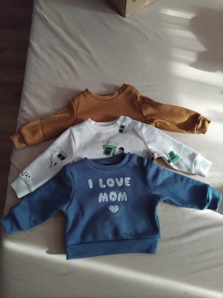 Trigovice, fox & bunny,62