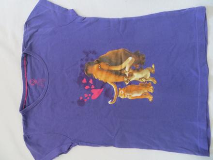 Fialové tričko, 116