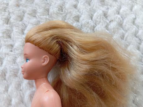Barbie skipper raritná bábika,