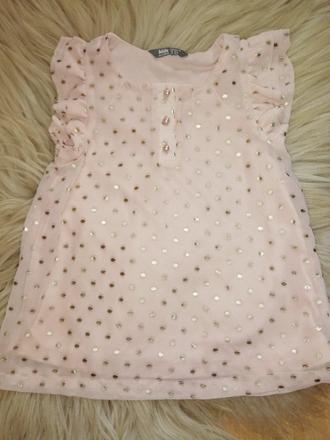 Topík lindex, lindex,110