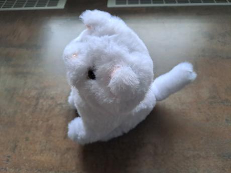 Interaktívna mačka, 